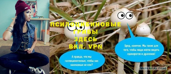 таблы Арсеньев