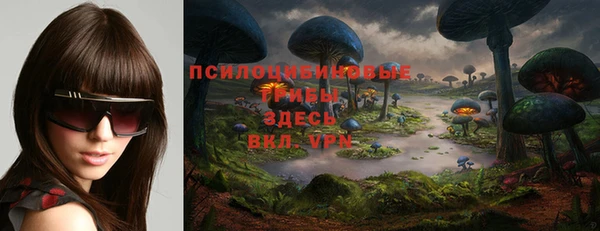 таблы Арсеньев