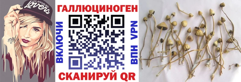 наркошоп Фролово мориарти какой сайт Псилоцибиновые грибы Magic Shrooms